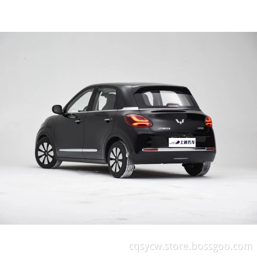 Swing Door Pickup Truck Wuling Bingguo 2023 333km الفرح استمتع بملاح